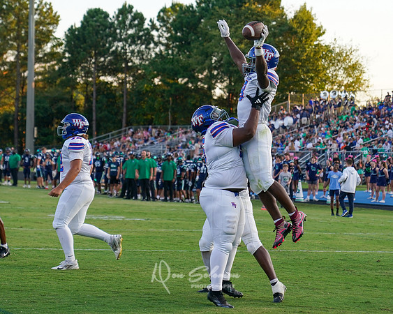 DSP25-0829-WFVFB LR-2174