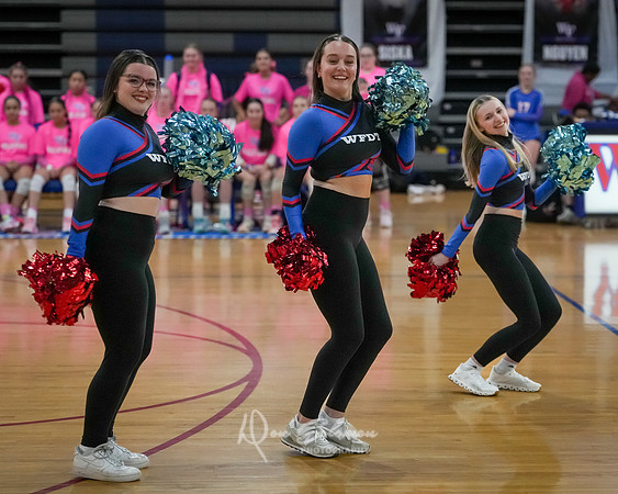 DSP25-1002-WFVB-VanceVipers-1108