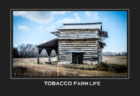 Tobacco Farm Life