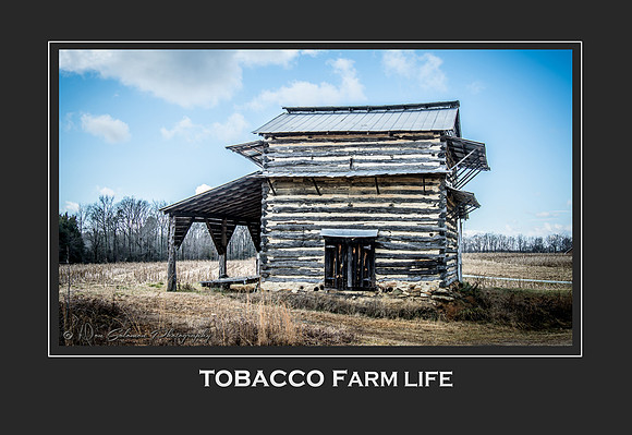 Tobacco Farm Life
