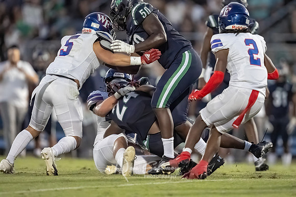 DSP23-0915-WFV-LR-115