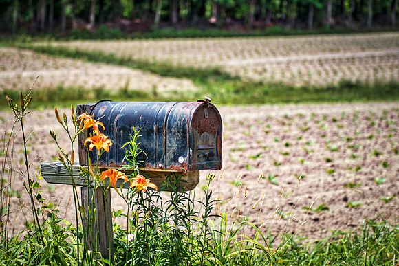 DSP-Zeb.Mailbox.NWM