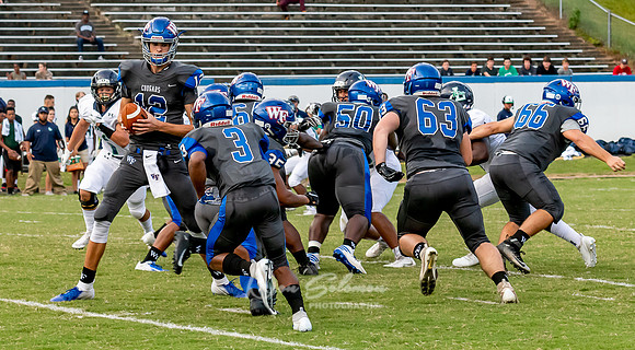 WFV-Leesville-090718-1590