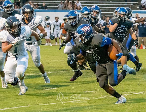 WFV-Leesville-090718-2067