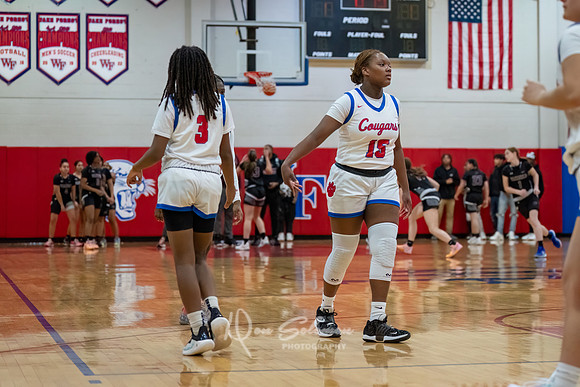 DSP24-0119-WFGVBB-WakeField-2