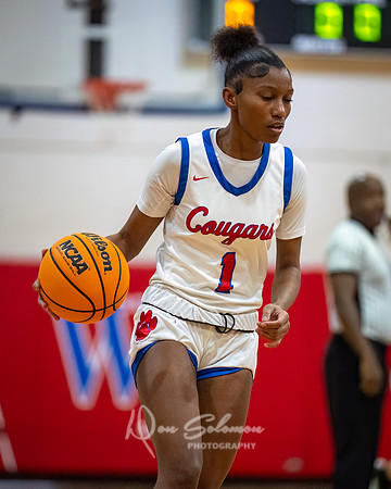 DSP24-0119-WFGVBB-WakeField-21