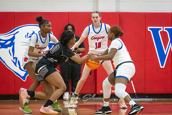 DSP24-0119-WFGVBB-WakeField-29