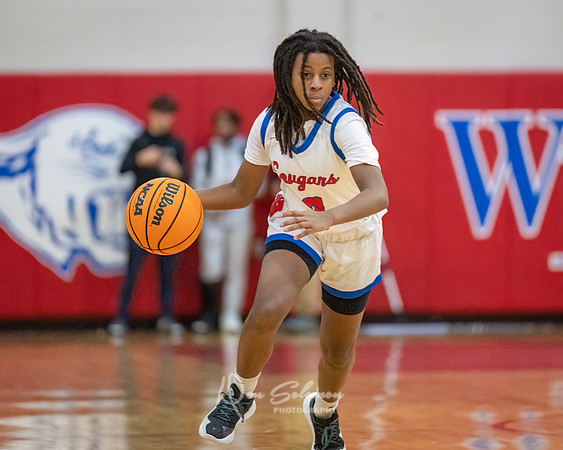 DSP24-0119-WFGVBB-WakeField-62