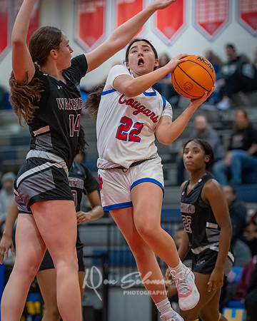 DSP24-0119-WFGVBB-WakeField-84