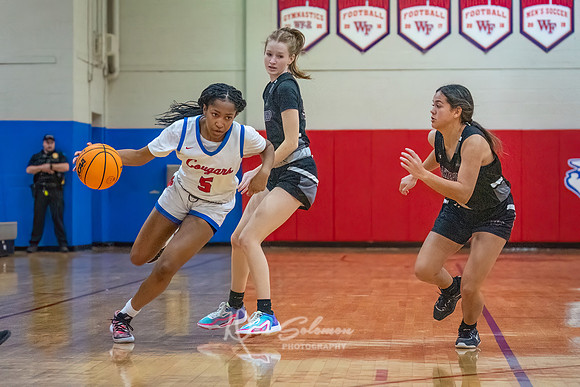 DSP24-0119-WFGVBB-WakeField-88