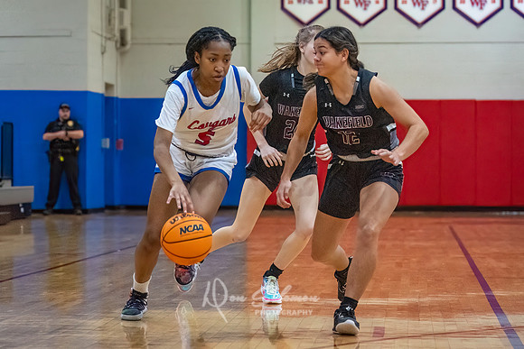 DSP24-0119-WFGVBB-WakeField-89