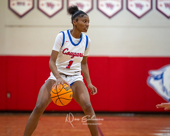 DSP24-0119-WFGVBB-WakeField-93