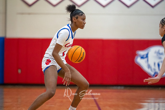 DSP24-0119-WFGVBB-WakeField-94