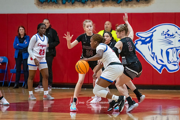 DSP24-0119-WFGVBB-WakeField-109