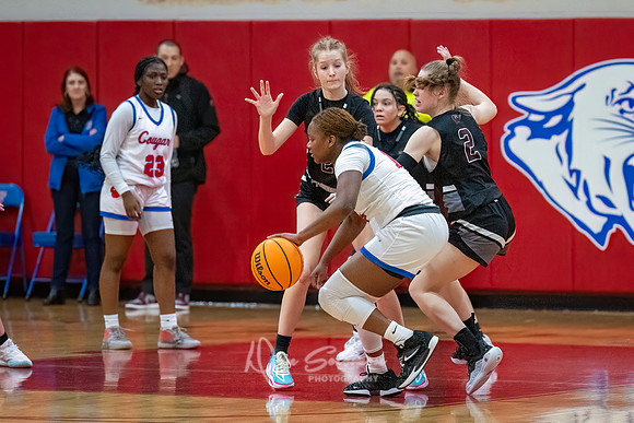 DSP24-0119-WFGVBB-WakeField-110