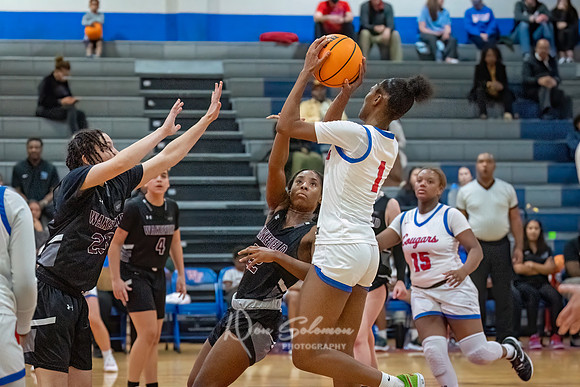 DSP24-0119-WFGVBB-WakeField-196