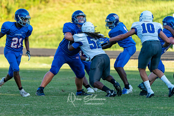 DSP19-JV Clayton-0829-440