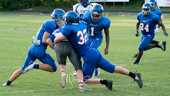DSP19-JV Clayton-0829-592