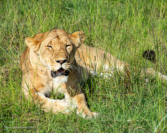 KS2019-AfriciaTrip-100-442