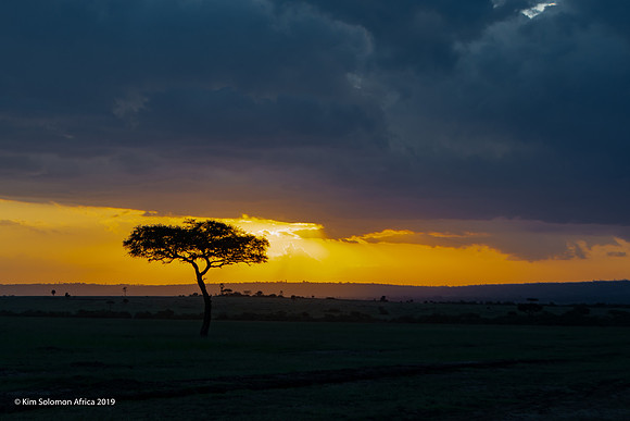KS2019-AfriciaTrip-100-1256