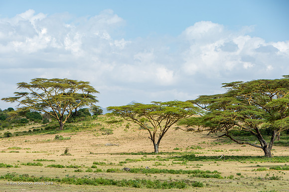 KS2019-AfriciaTrip-100-1864