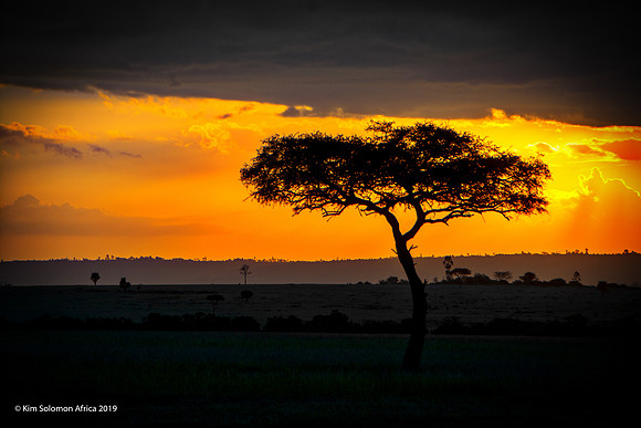 KS2019-AfriciaTrip-100-