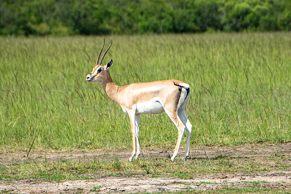 KS2019-AfriciaTrip-100-928