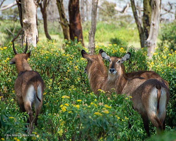 KS2019-AfriciaTrip-100-1654