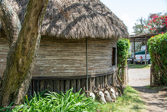 KS2019-AfriciaTrip-100-1640