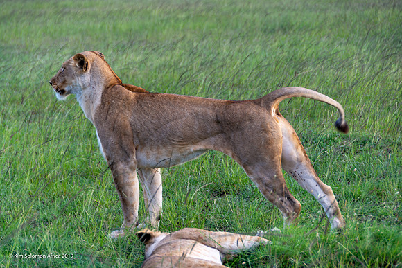 KS2019-AfriciaTrip-100-679