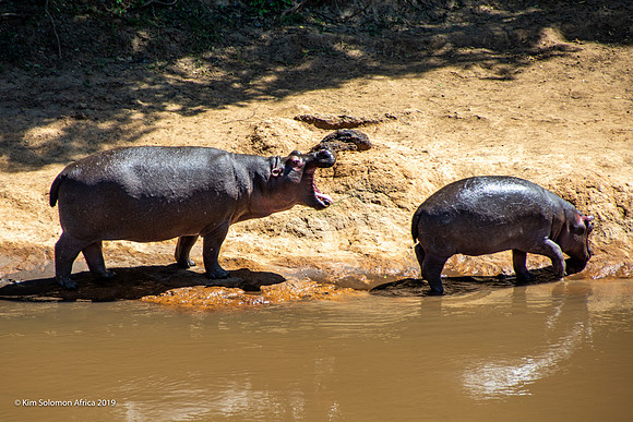 KS2019-AfriciaTrip-100-862