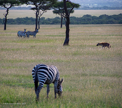 KS2019-AfriciaTrip-100-650