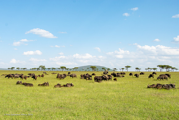 KS2019-AfriciaTrip-100-485