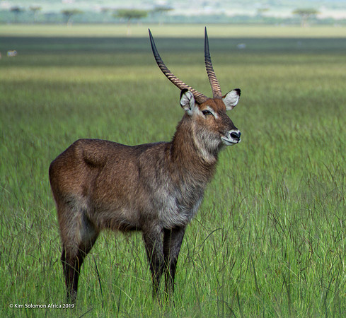 KS2019-AfriciaTrip-100-408