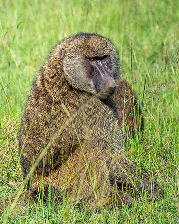 KS2019-AfriciaTrip-100-378