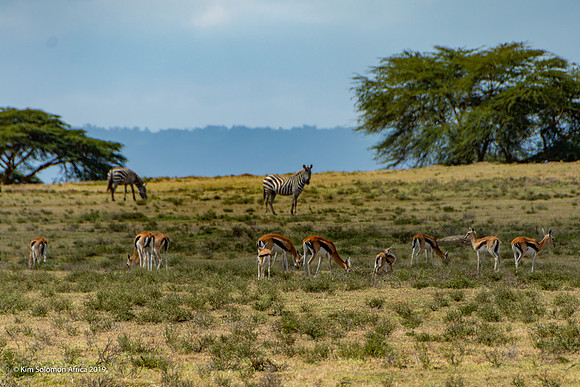 KS2019-AfriciaTrip-100-1744