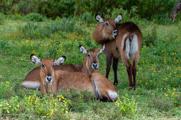 KS2019-AfriciaTrip-100-1807