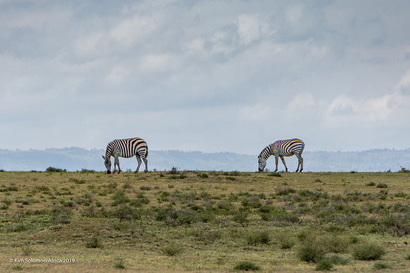KS2019-AfriciaTrip-100-1755