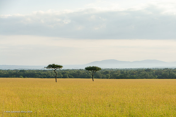 KS2019-AfriciaTrip-100-1379
