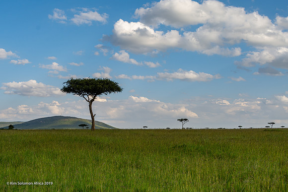 KS2019-AfriciaTrip-100-587