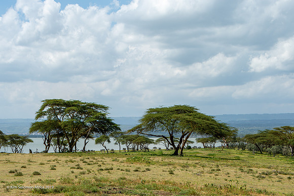 KS2019-AfriciaTrip-100-1780