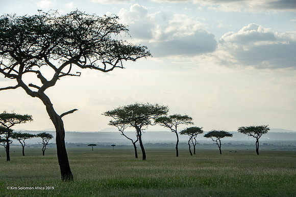 KS2019-AfriciaTrip-100-632