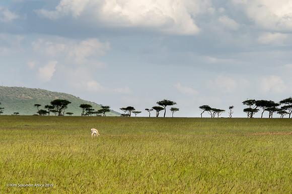 KS2019-AfriciaTrip-100-1000