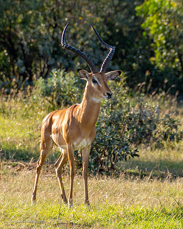 KS2019-AfriciaTrip-100-775