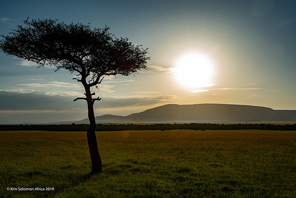 KS2019-AfriciaTrip-100-1348