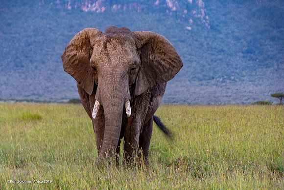 KS2019-AfriciaTrip-100-1228