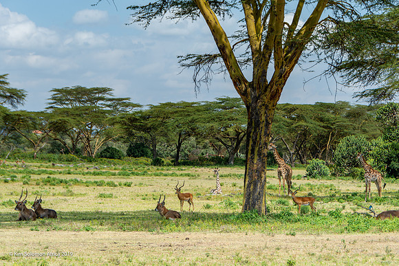 KS2019-AfriciaTrip-100-1826