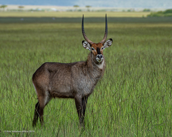 KS2019-AfriciaTrip-100-406