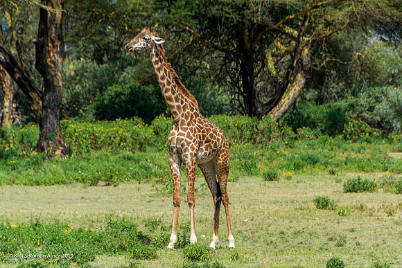KS2019-AfriciaTrip-100-1827