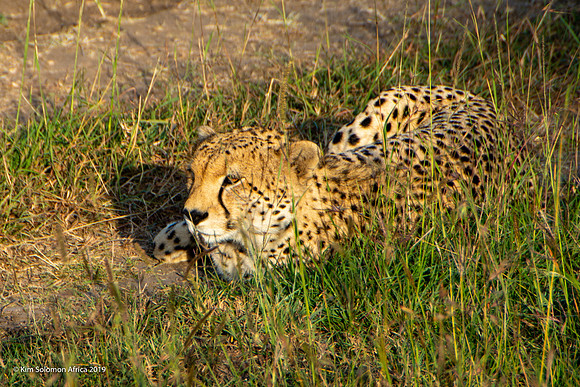 KS2019-AfriciaTrip-100-1358